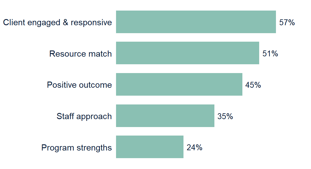 Bar chart of success themes staff named, by the share of visits in which each came up.